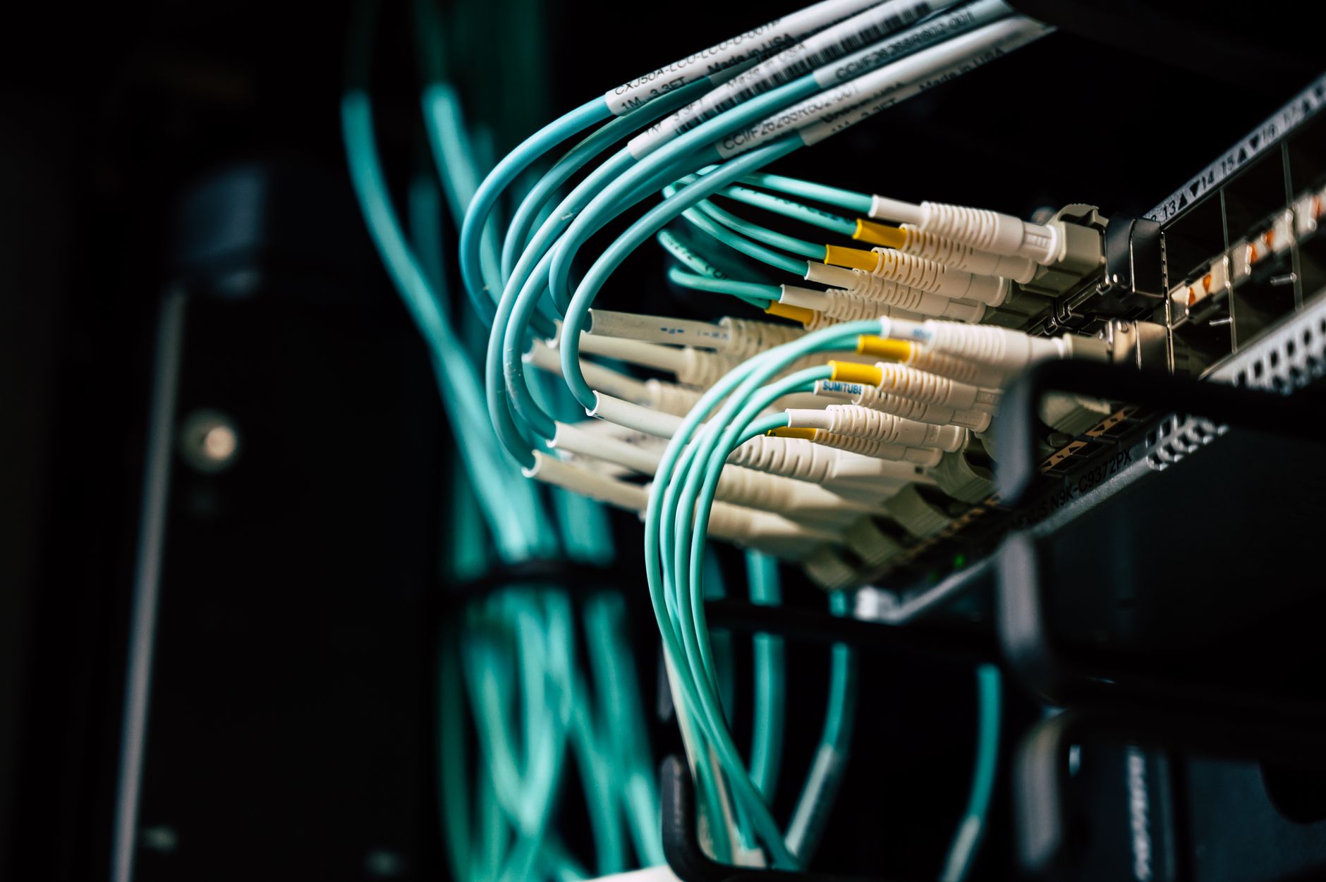 Kable sieciowe podłączone do switchy w szafie serwerowej